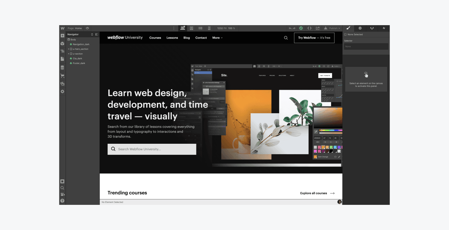 webflow web design